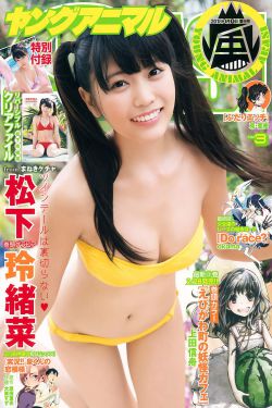 藏族女子出嫁带硬核嫁妆